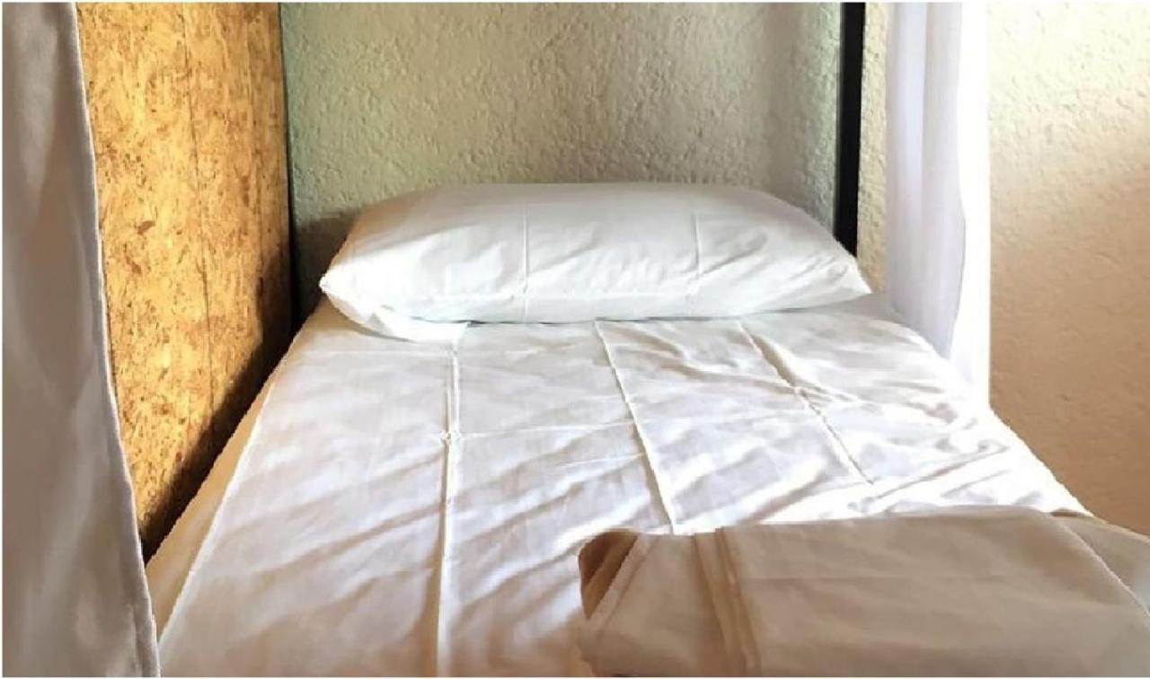 Guacamundo Beach Hostel 5Th. Ave بلايا ديل كارمن المظهر الخارجي الصورة