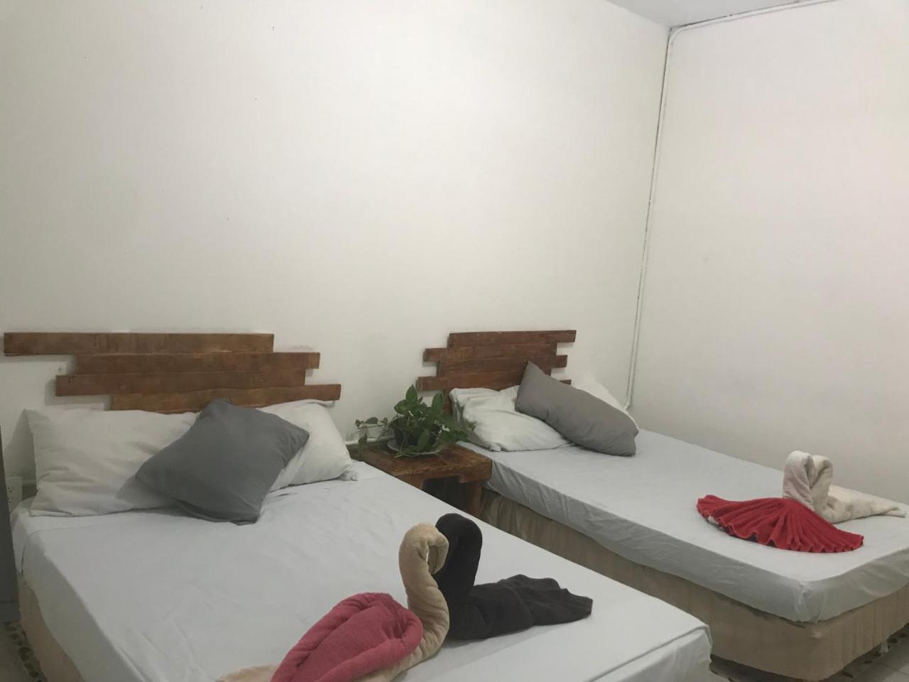 Guacamundo Beach Hostel 5Th. Ave بلايا ديل كارمن المظهر الخارجي الصورة