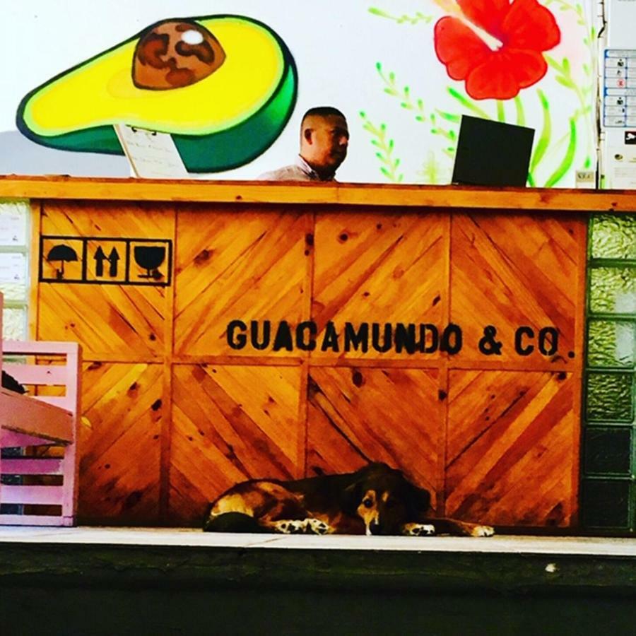 Guacamundo Beach Hostel 5Th. Ave بلايا ديل كارمن المظهر الخارجي الصورة
