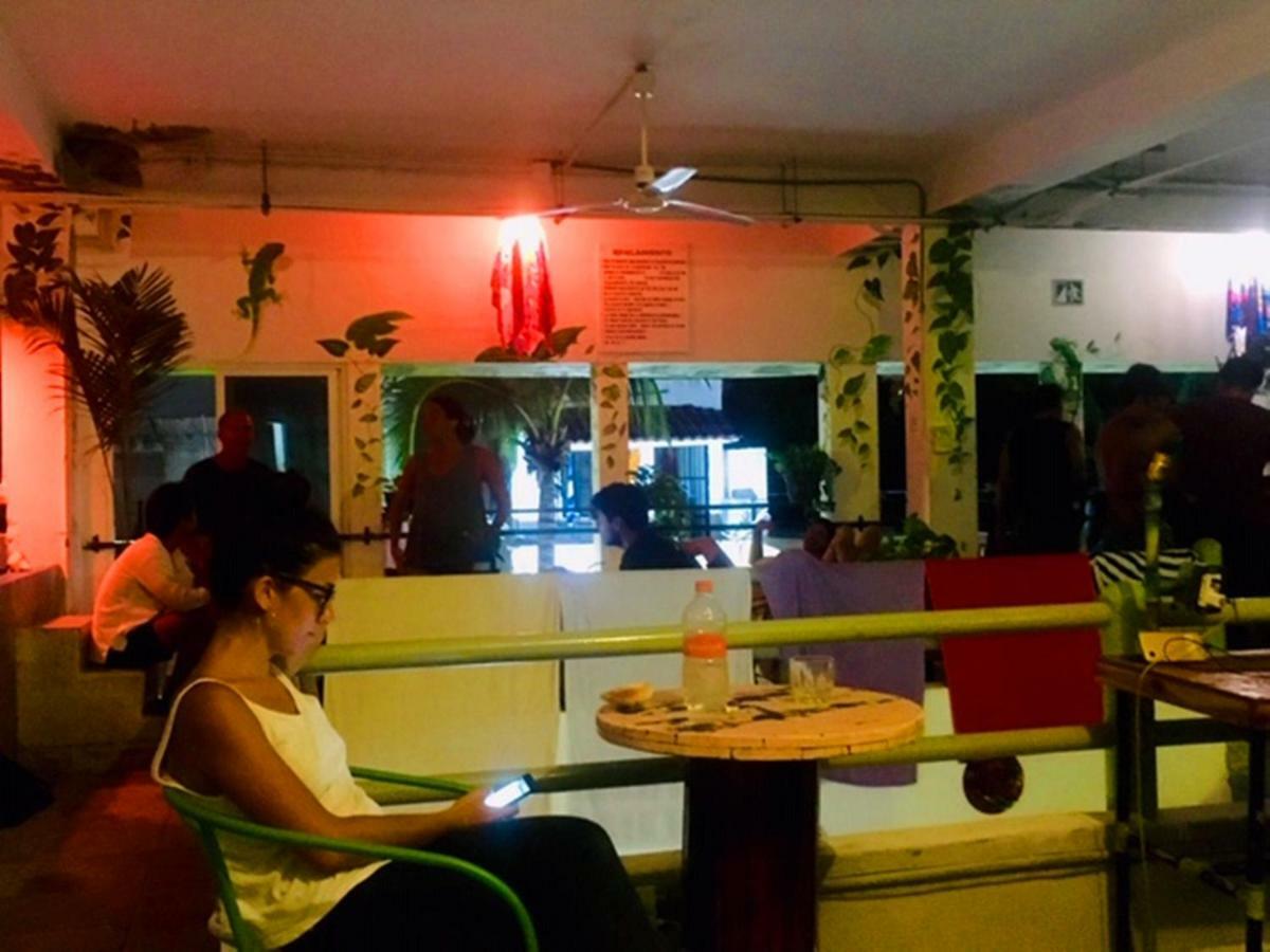 Guacamundo Beach Hostel 5Th. Ave بلايا ديل كارمن المظهر الخارجي الصورة